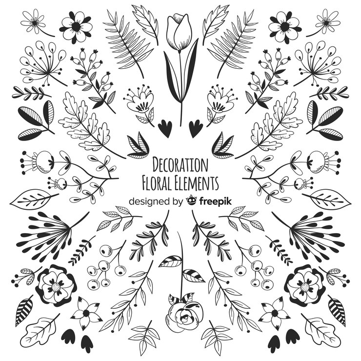Vetor grátis elementos de decoração floral desenhados à mão