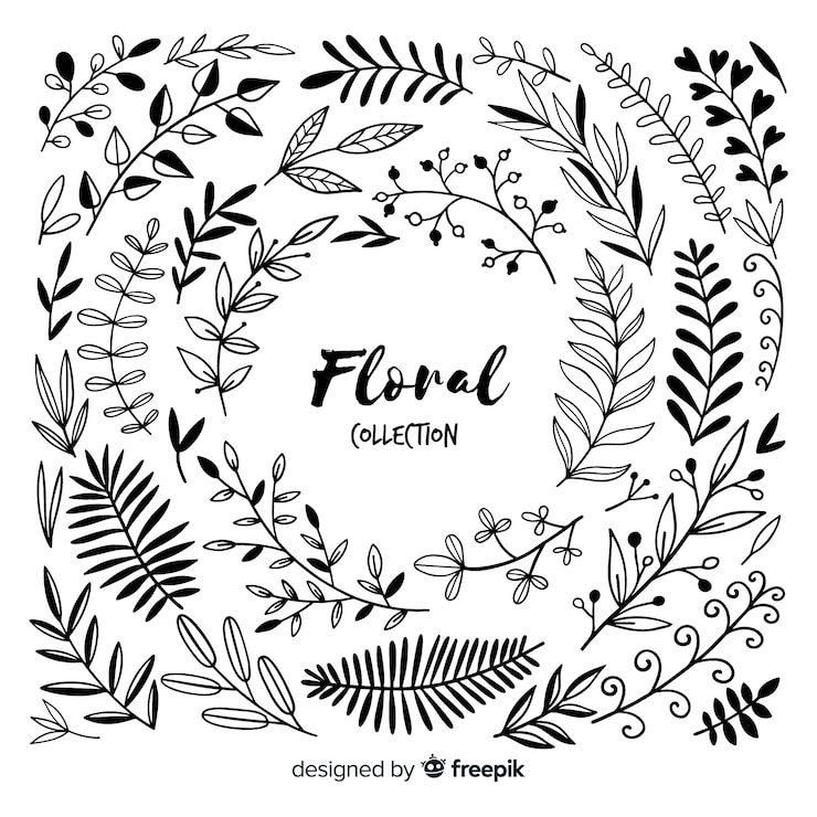 Vetor grátis elementos de decoração floral incolor
