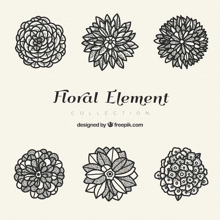 Vetor grátis elementos florais modernos com estilo desenhado de mão