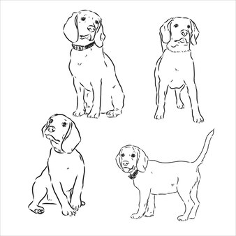 Esboço do lindo cão beagle. desenho vetorial de cão beagle de ilustração vetorial