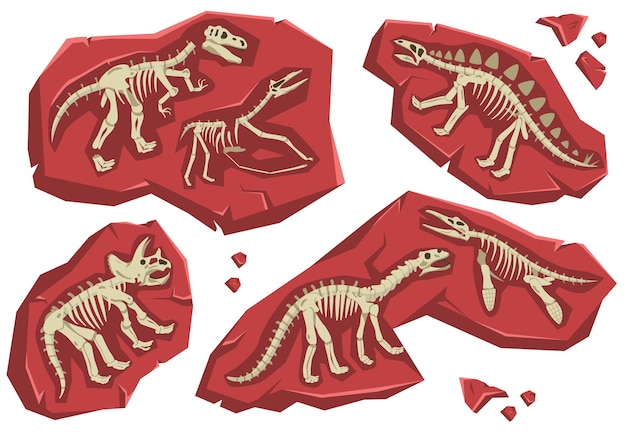 Esqueletos de dinossauros antigos em rochas planas isoladas contra ilustração vetorial de fundo branco