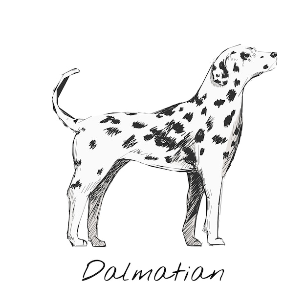 Estilo de desenho de ilustração de cachorro