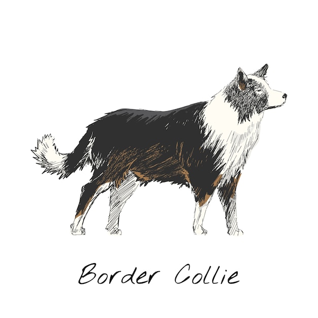 Vetor grátis estilo de desenho de ilustração de cachorro