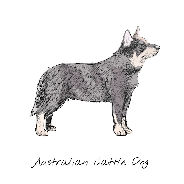 Estilo de desenho de ilustração de cachorro