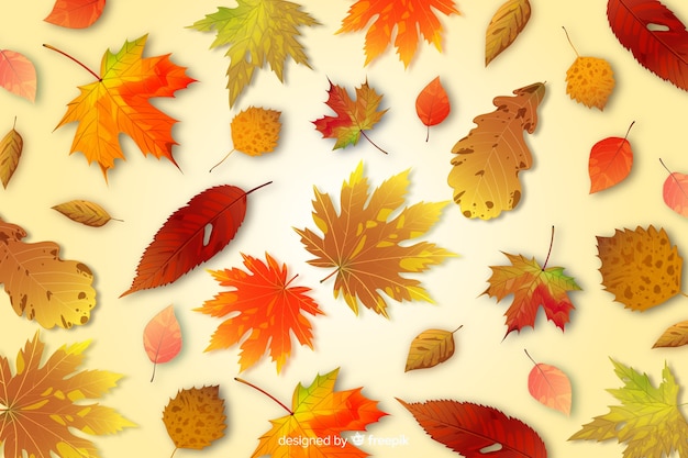 Vetor grátis estilo realista de fundo de folhas de outono