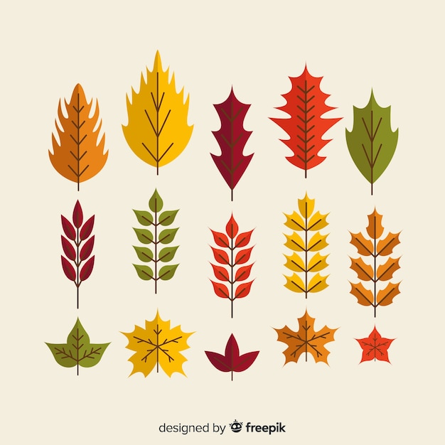 Vetor grátis estilo simples de coleção de folhas de outono