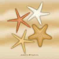 Vetor grátis estrelas de mar