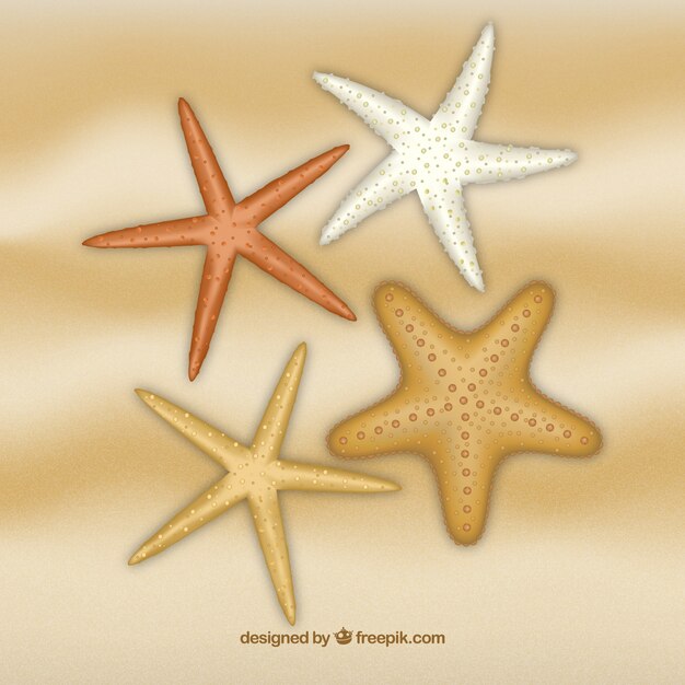 Estrelas de mar