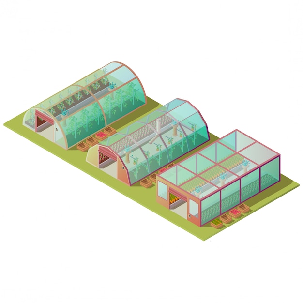 Estufa isométrica isolada e edifícios agrícolas