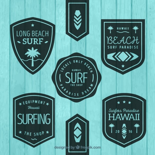 Etiquetas de surf planas vintage