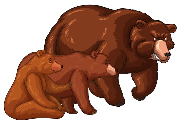 Família de ursos com filhote