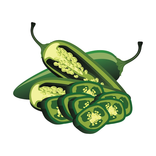 Vetor grátis fatias de pimenta jalapeça crua. ilustração vetorial