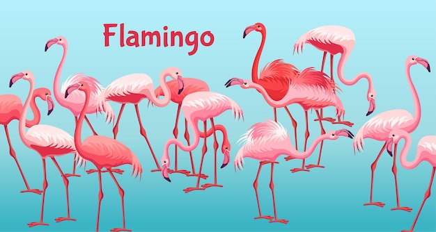 Vetor grátis flamingo de pôster