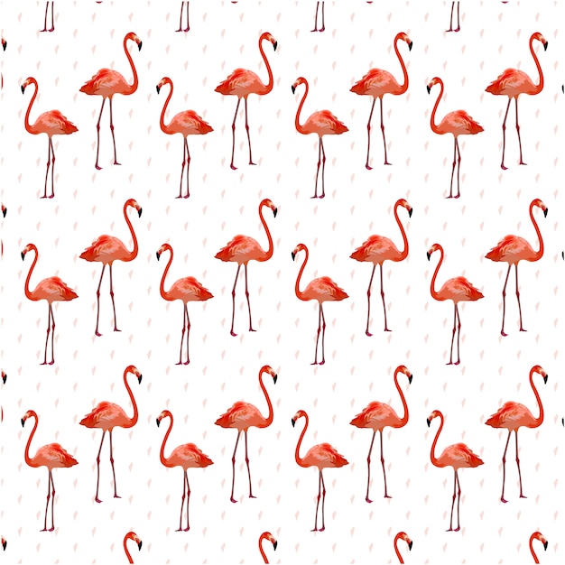 Flamingo padrão de fundo