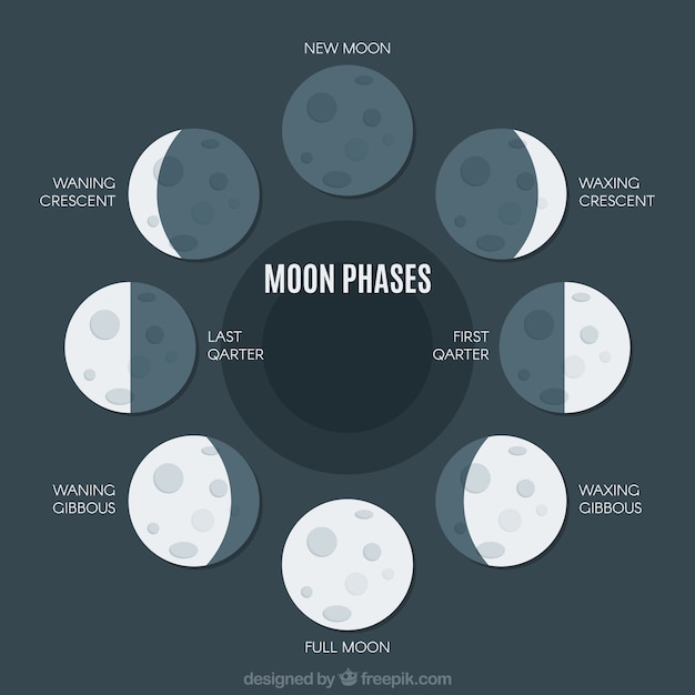 Vetor grátis flat pack de grandes fases da lua