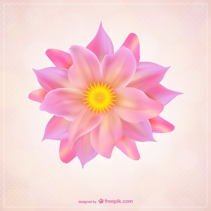 Vetor grátis flor com pétalas de rosa vetor livre
