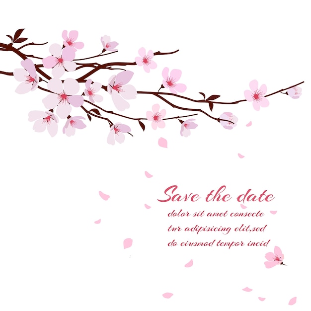 Flor de cerejeira, ramo de sakura com flores cor de rosa. modelo de cartão comemorativo