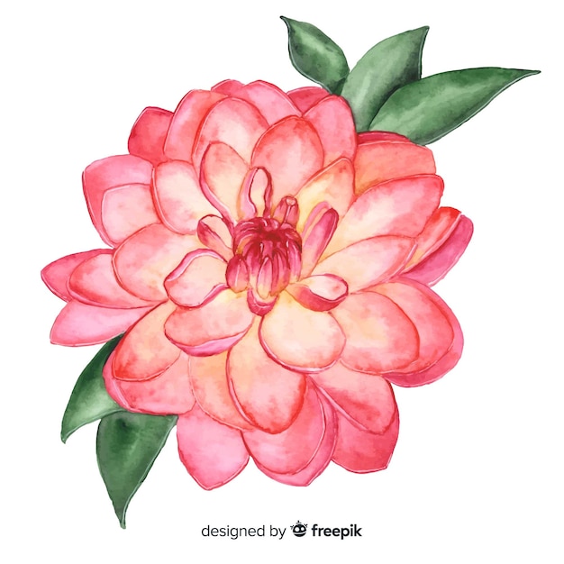 Flor de coral rosa aquarela