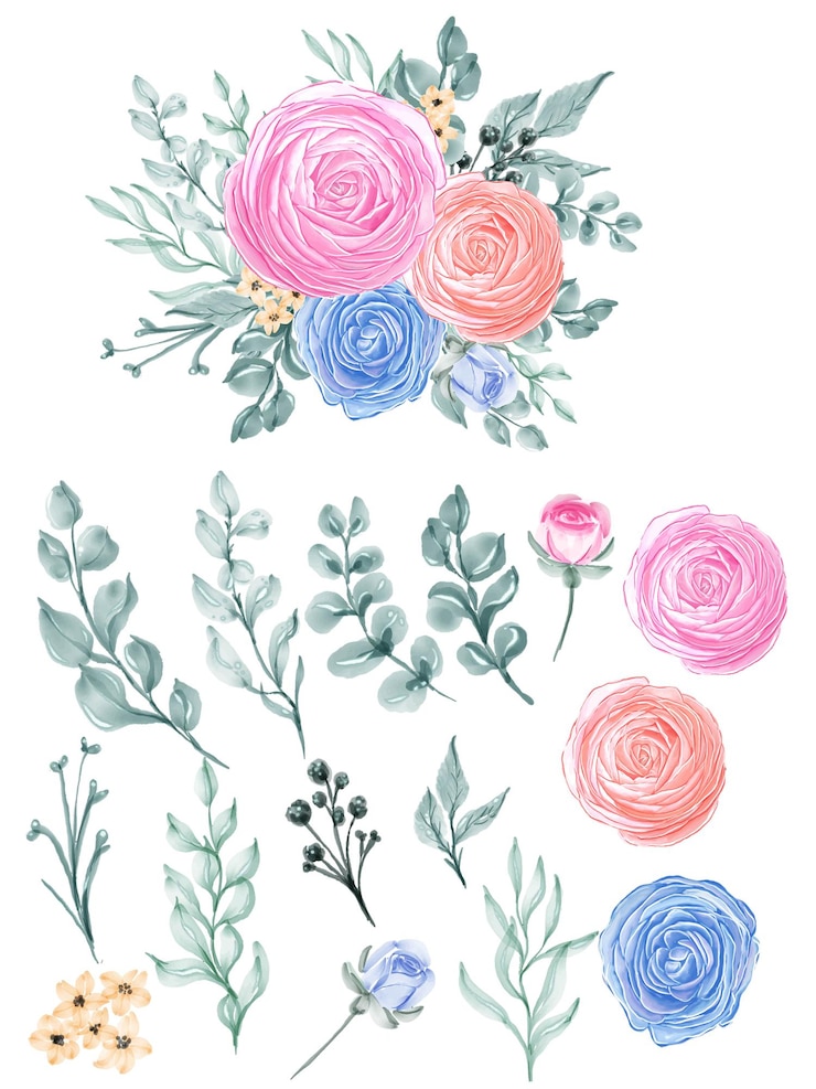 Vetor grátis flor e folha em aquarela de isolamento de ranúnculo