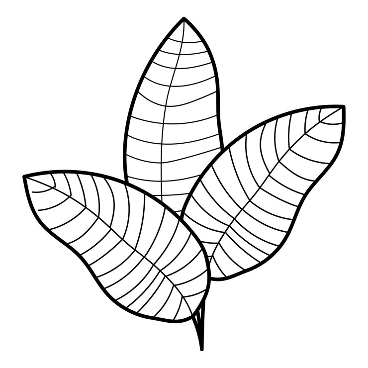 Vetor grátis flor floral desenhada à mão linha preta