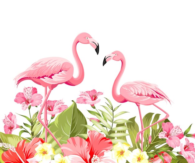 Flor tropical e flamingos em fundo branco. Ilustração vetorial