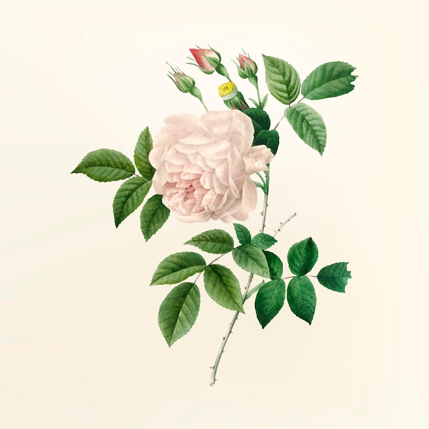 Vetor grátis flor vintage ilustração