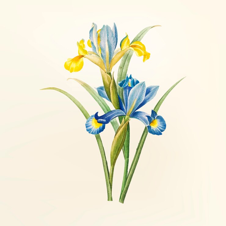 Vetor grátis flor vintage ilustração