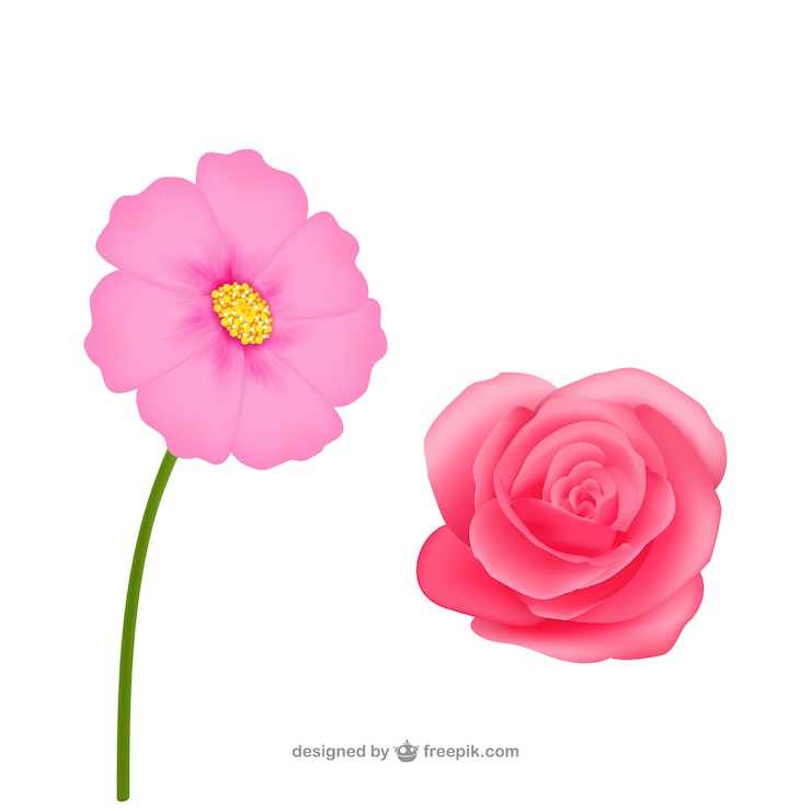 Vetor grátis flores cor de rosa realistas