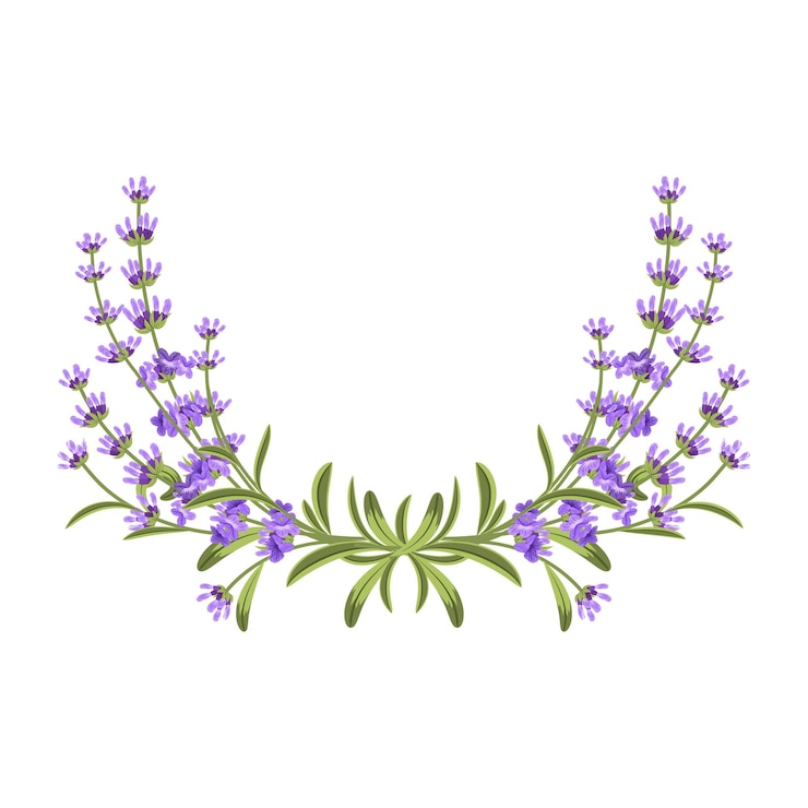 Vetor grátis flores de lavanda com folhas verdes