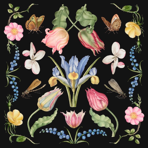 Flores desenhadas à mão, conjunto de ilustração floral, remix do livro modelo de caligrafia de Joris Hoefnagel e Georg Bocskay