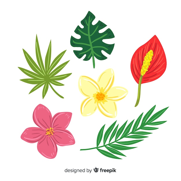 Flores e folhas tropicais de mão desenhada