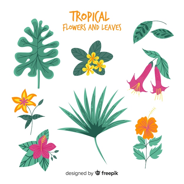 Flores e folhas tropicais de mão desenhada