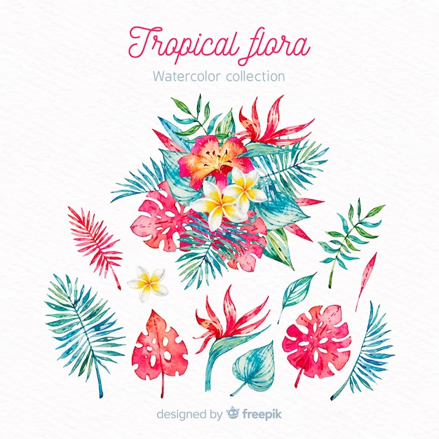 Vetor grátis flores e folhas tropicais em aquarela