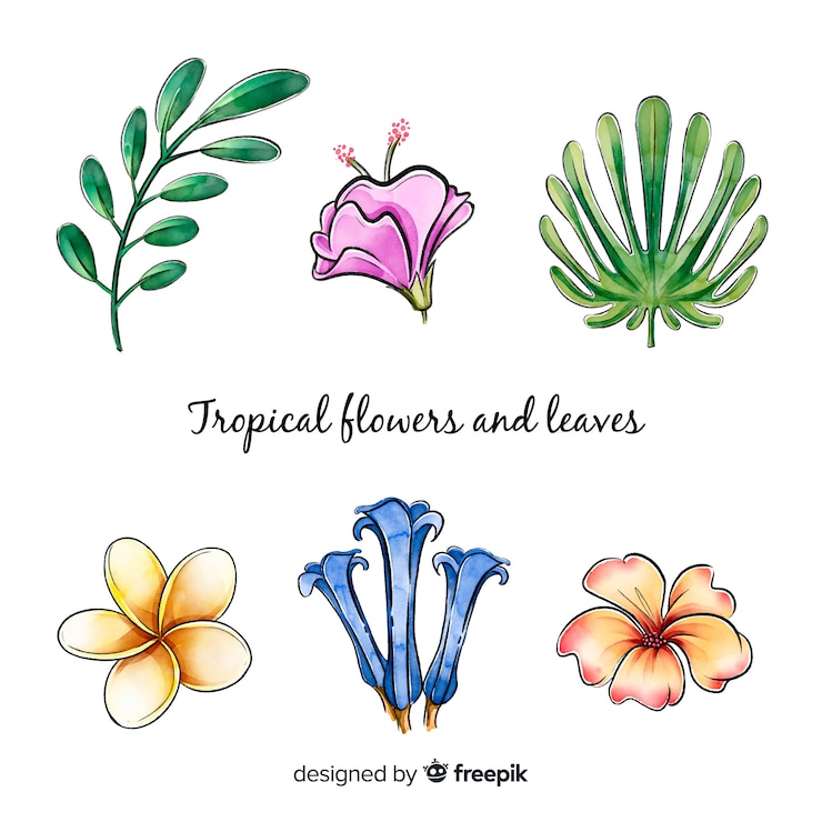 Vetor grátis flores e folhas tropicais em aquarela