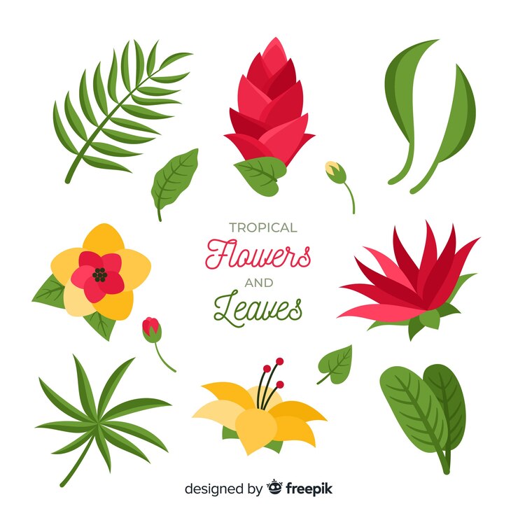 Vetor grátis flores e folhas tropicais planas