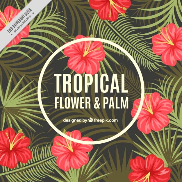 Vetor grátis flores tropicais e folhas de palmeira fundo