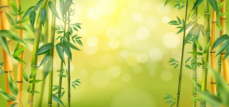 Vetor grátis floresta de bambu verde em modelo de fundo realista de luz matinal com ilustração vetorial bokeh