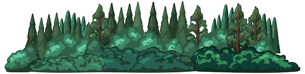Vetor grátis floresta de coníferas no fundo branco