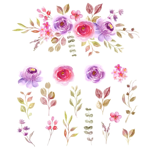 Folha de clip art isolada em aquarela floral e coleção de flores