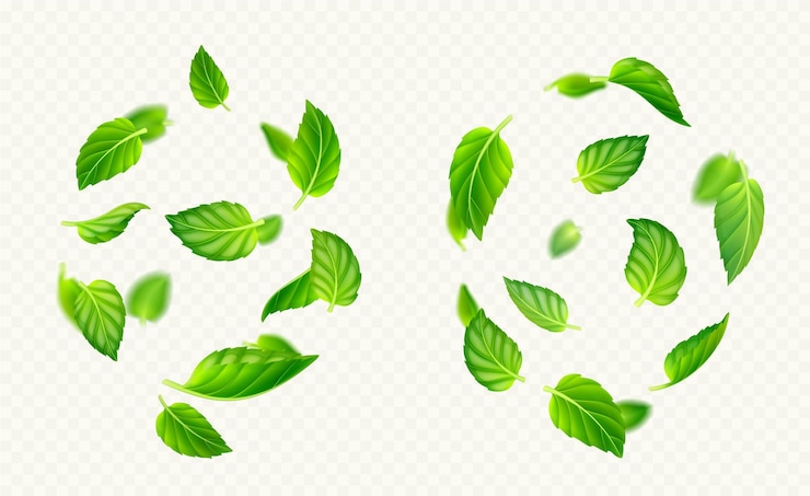 Vetor grátis folhas de hortelã verde caindo e voando no ar