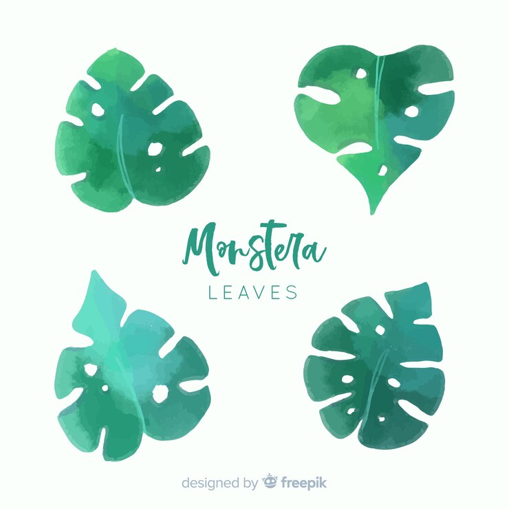 Vetor grátis folhas de monstera aquarela