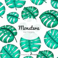 Vetor grátis folhas de monstera