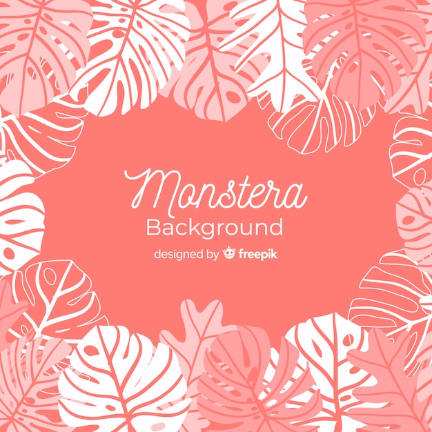 Folhas de monstera