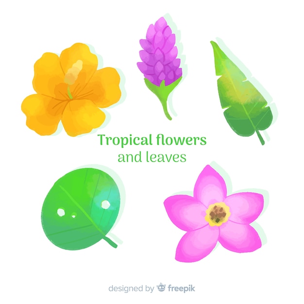 Vetor grátis folhas e flores tropicais