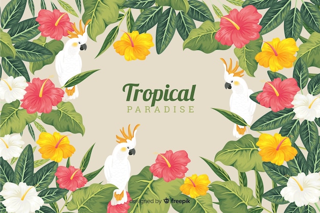 Folhas e pássaros tropicais