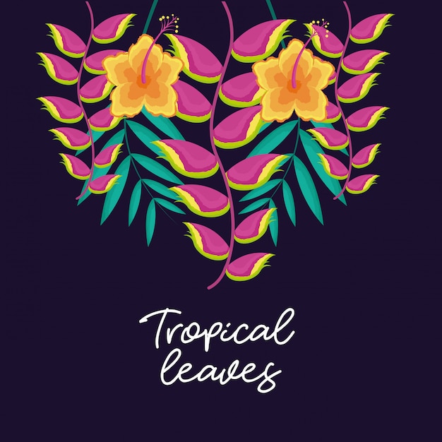 Folhas naturais tropicais