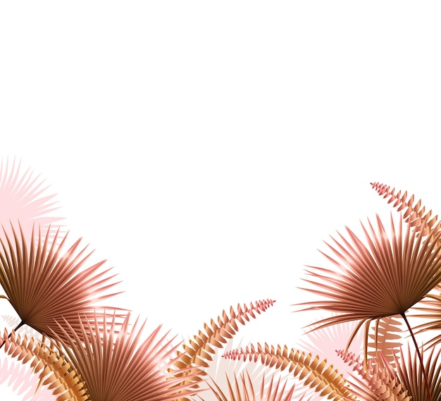 Folhas tropicais marrons de plantas diferentes na ilustração vetorial realista de fundo branco