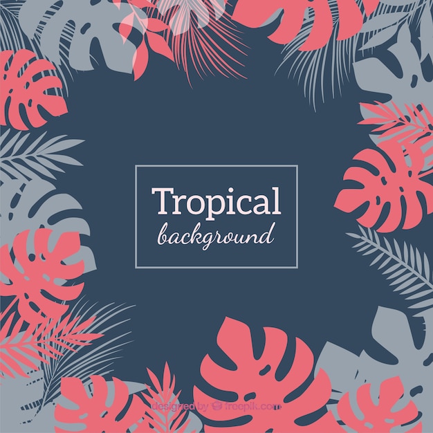 Folhas tropicais