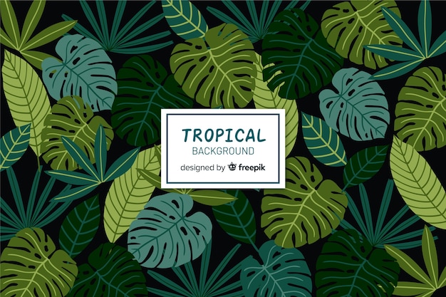 Vetor grátis folhas tropicais