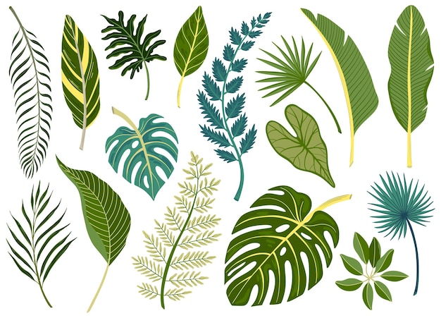 Folhas verdes de várias plantas tropicais e árvores planas ilustração vetorial isolada